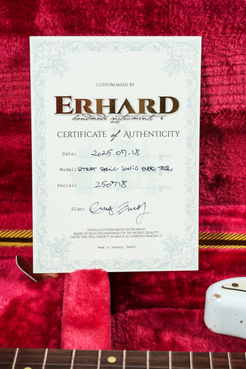 erhard-strat-relic_2200px-19.jpg
