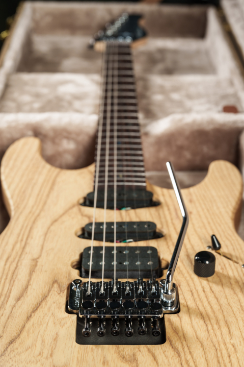 erhard-superstrat_2200px-13.jpg