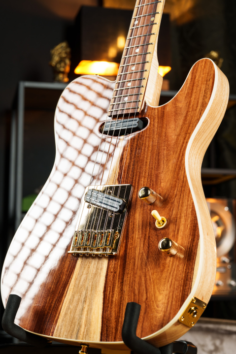 erhard-tele_2200px-11.jpg
