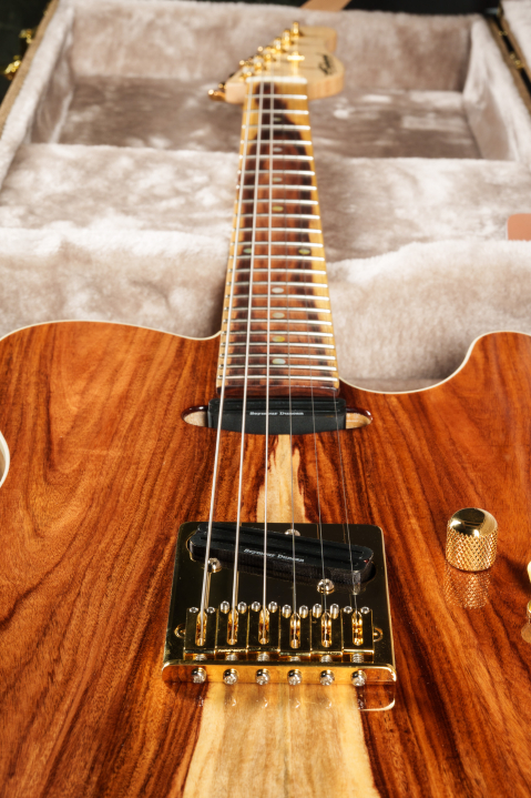 erhard-tele_2200px-15.jpg